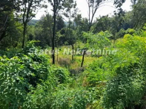 Prodaja, plac, 135m², Banja Vrdnik, Irig - image 7