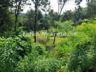 Prodaja, plac, 135m², Banja Vrdnik, Irig - image 7