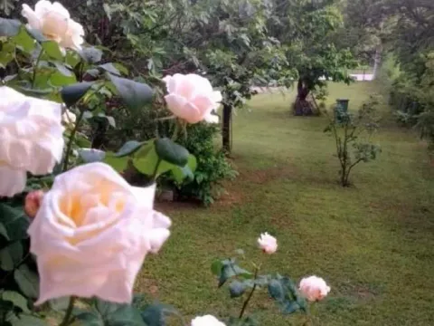 Sale, house, 341m², Grocka, Beograd - image 6