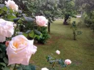 Prodaja, kuća, 341m², Grocka, Beograd - image 6