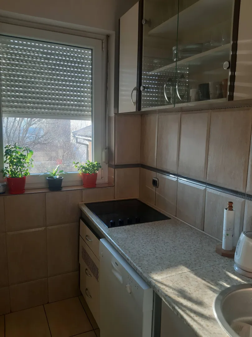 Manja kuhinja sa ugradnom pločom, sudoperom i visećim elementima pored prozora sa roletnama.