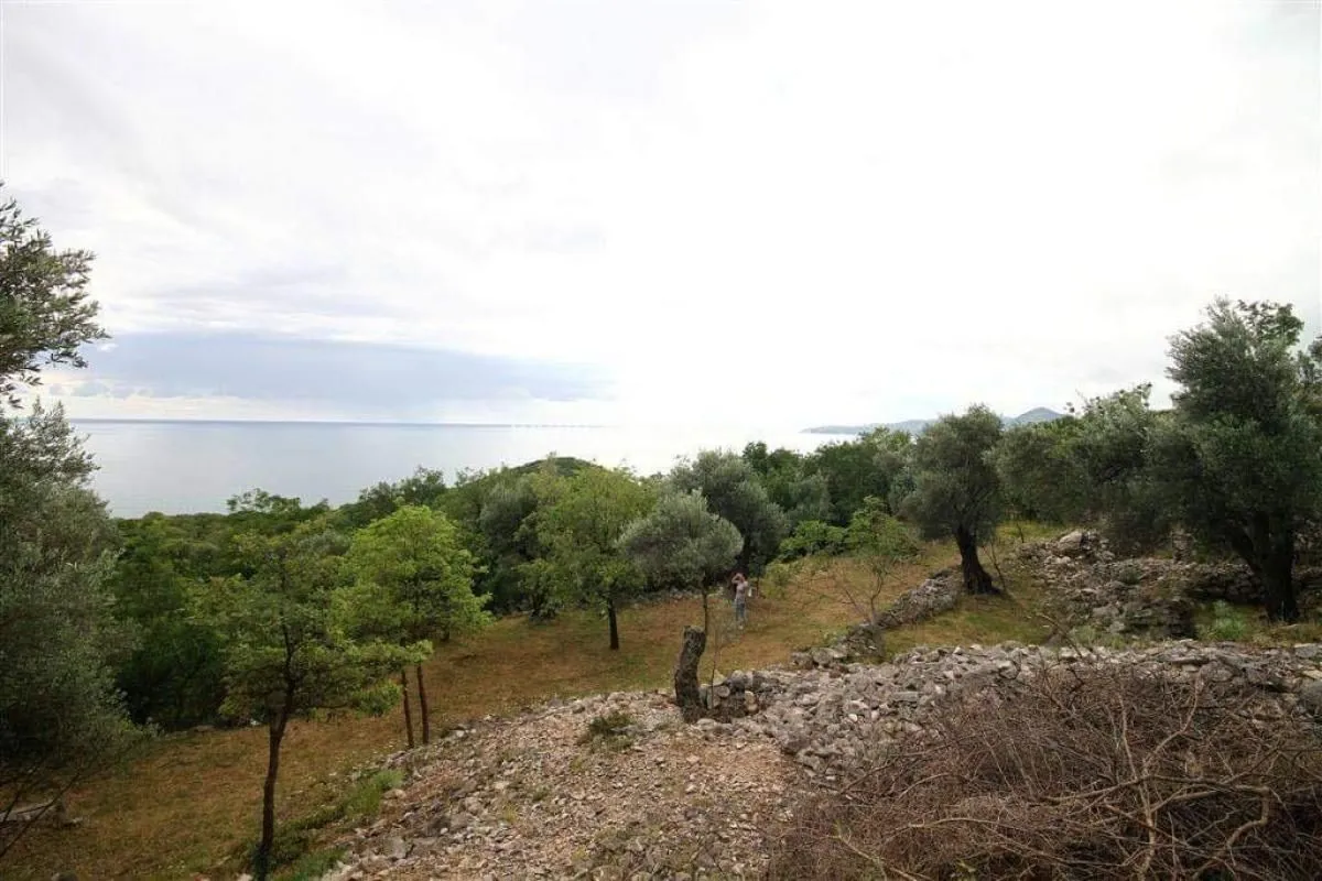 Prodaja, plac, 2600m², Reževići, Budva