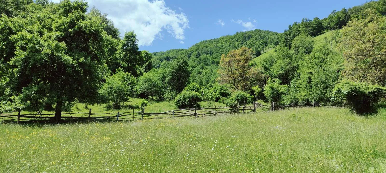 Prodaja, plac, 40000m², Andrijevica, Crna Gora
