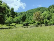 Sale, land lot, 40000m², Andrijevica, Crna Gora - image 2