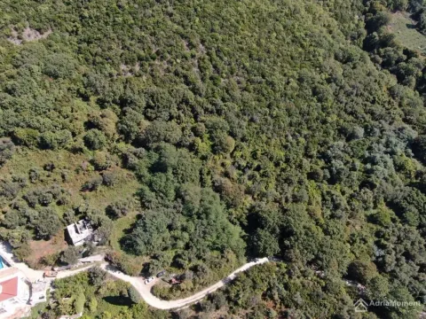 Prodaja, plac, 14000m², Kumbor, Herceg Novi - image 4