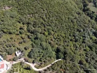 Prodaja, plac, 14000m², Kumbor, Herceg Novi - image 4