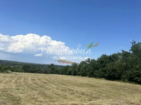 Prodaja, plac, 9000m², Arnajevo, Barajevo - image 4