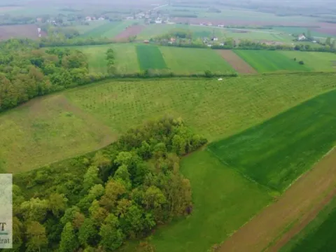 Sale, land lot, 38000m², Kožuar, Ub - image 13