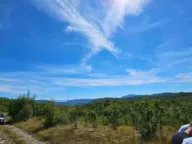 Prodaja, plac, 529000m², Grahovac, Nikšić - image 2