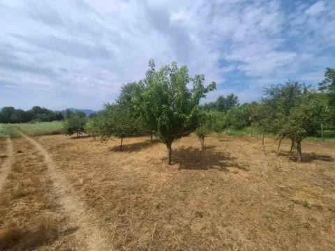 Zeleno dvorište sa voćnjakom i travnjakom. - image 2