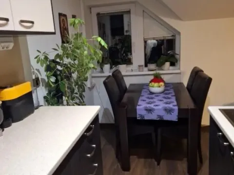 Sale, two bedroom apartment, 56m², Galenika, Beograd - image 5