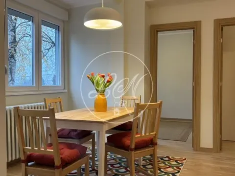 Izdavanje, dvosoban stan, 60m², Severni Bulevar, Zvezdara Sve Podlokacije - image 3