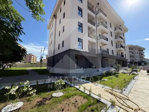 Stan in Tološi