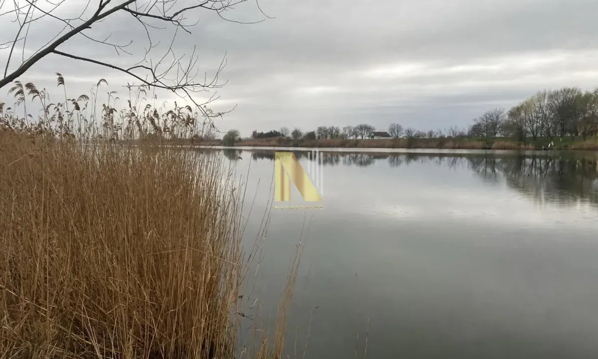 Prodaja, plac, 2100m², Čurug, Žabalj