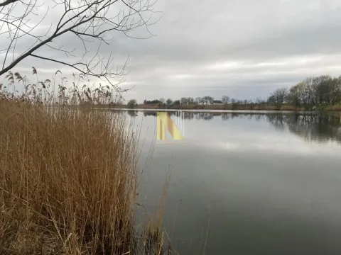 Sale, land lot, 21m², Čurug, Žabalj