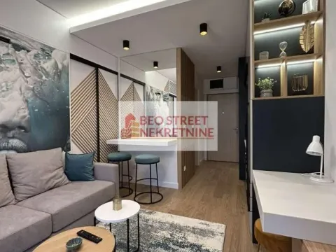 Izdavanje, jednosoban stan, 30m², Savski Venac, Beograd - image 5