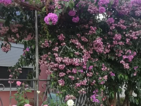 Sale, house, 60m², Sutomore, Bar - image 14