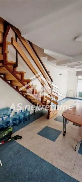 Izdavanje, kuća, 500m², Profesorska Kolonija, Palilula Sve Podlokacije