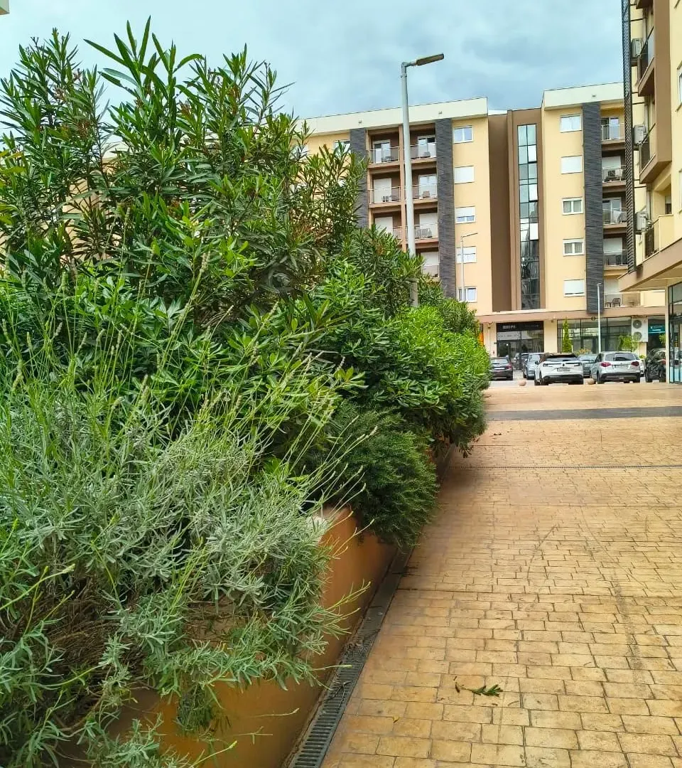 Rent, one bedroom apartment, 46m², New City, Podgorica