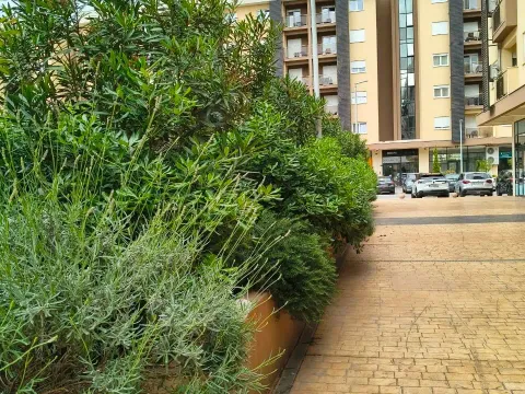 Rent, one bedroom apartment, 46m², New City, Podgorica - image 12
