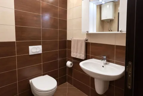 Bathroom equipped with a washbasin, toilet, and a wall cabinet with a mirror. - image 16
