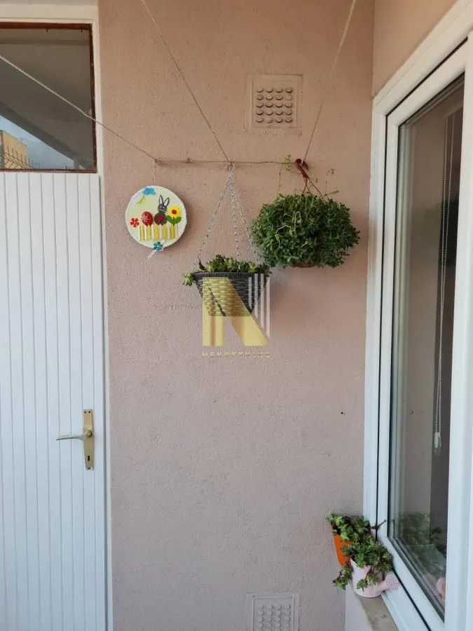Terasa sa ukrasnom biljkom i detaljima na zidu.