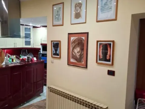 Sale, house, 210m², Podbara, Novi Sad Sve Podlokacije - image 5