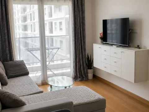 Rent, one bedroom apartment, 48m², Tološka šuma, Podgorica - image 2