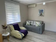 Rent, studio apartment, 30m², Rozino, Budva - image 4