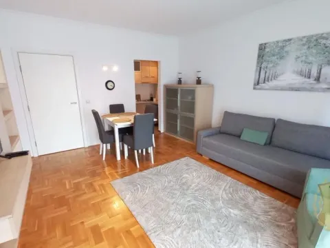 Rent, two bedroom apartment, 40m², Vračar Sve Podlokacije, Beograd - image 2