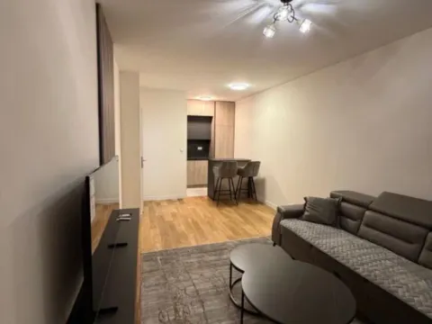 Izdavanje, jednosoban stan, 47m², Central Point, Podgorica - image 8