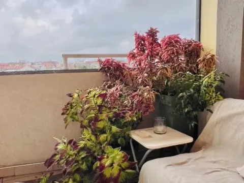 Izdavanje, dvosoban stan, 54m², Bulevar Evrope, Novi Sad Sve Podlokacije - image 12