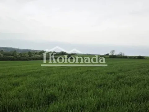 Prodaja, plac, 44100m², Sopot, Beograd - image 3