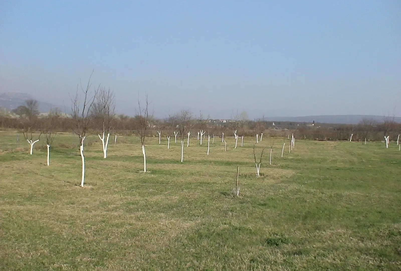 Prodaja, plac, 4000m², Danilovgrad, Crna Gora