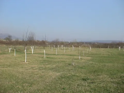 Prodaja, plac, 4000m², Danilovgrad, Crna Gora - image 4