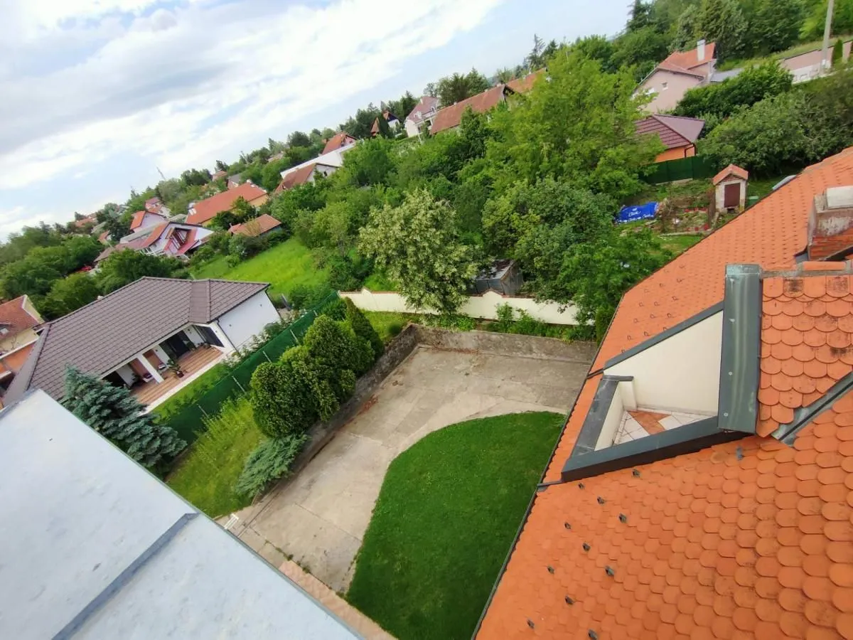 Rent, office space, 950m², Sremska Kamenica, Petrovaradin
