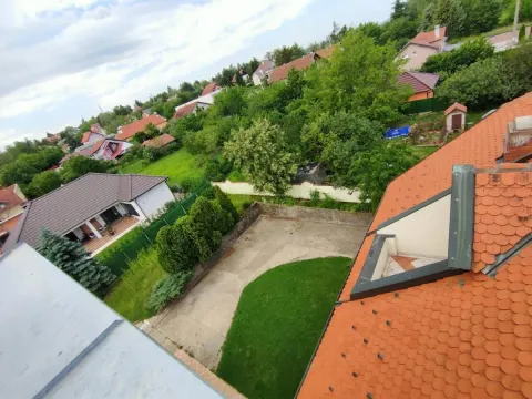 Rent, office space, 950m², Sremska Kamenica, Petrovaradin - image 2