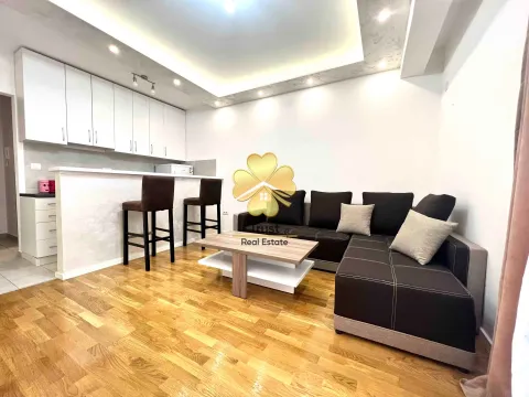 Izdavanje, garsonjera, 30m², Stari Aerodrom, Podgorica - image 2