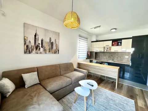 Rent, apartment, 26m², Zabjelo, Podgorica - image 2