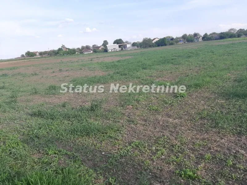 Prodaja, plac, 2700m², Kovilj, Novi Sad Sve Podlokacije