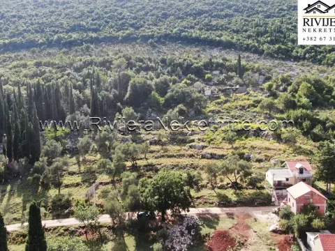 Prodaja, plac, 4323m², Žvinje, Herceg Novi - image 5