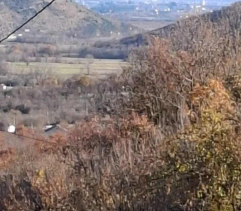 Sale, land lot, 5514m², Bandići, Danilovgrad