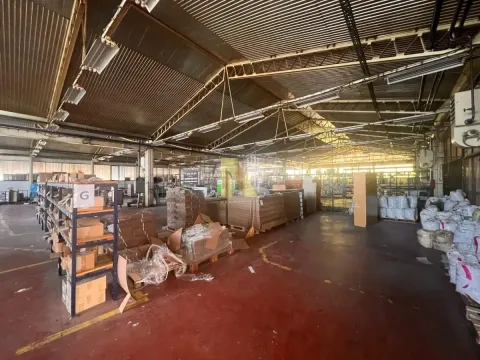 Rent, office space, 1000m², Bela Palanka, Srbija - image 2