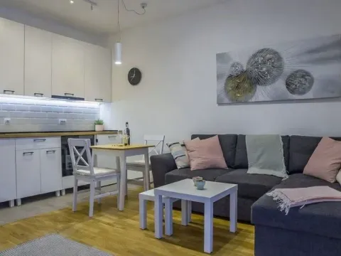Rent, two bedroom apartment, 31m², Pasino Brdo, Voždovac Sve Podlokacije - image 3