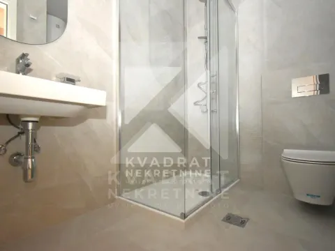 Modern bathroom with a shower cabin, washbasin, and toilet. - image 12