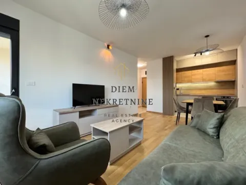 Izdavanje, jednosoban stan, 45m², Podgorica, Crna Gora - image 6