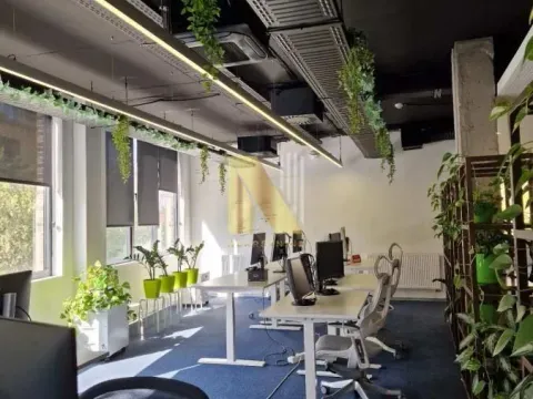 Rent, office space, 527m², Podbara, Novi Sad Sve Podlokacije - image 9