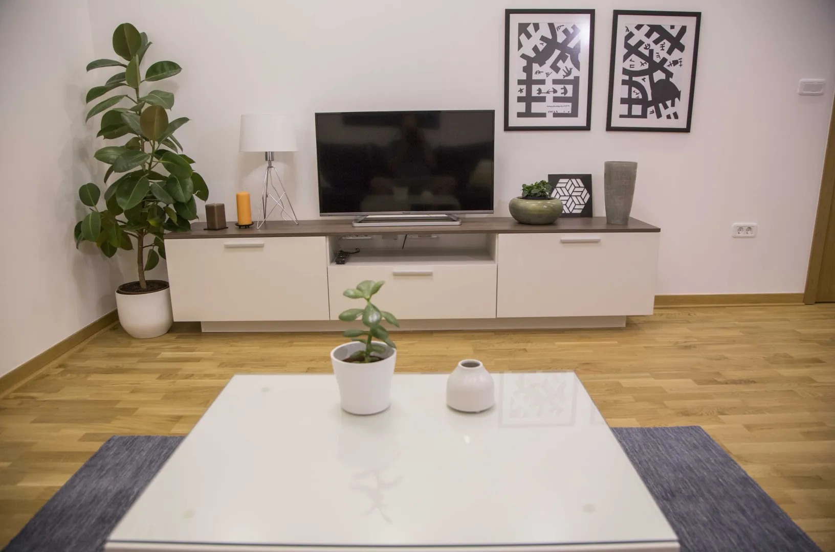 Svijetao dnevni boravak sa modernom TV komodom i ukrasnim biljkama.
