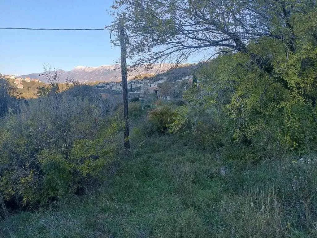 Zemljište sa zelenilom i pogledom na planine.