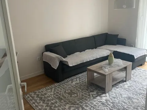 Rent, one bedroom apartment, 40m², Zabjelo, Podgorica - image 6